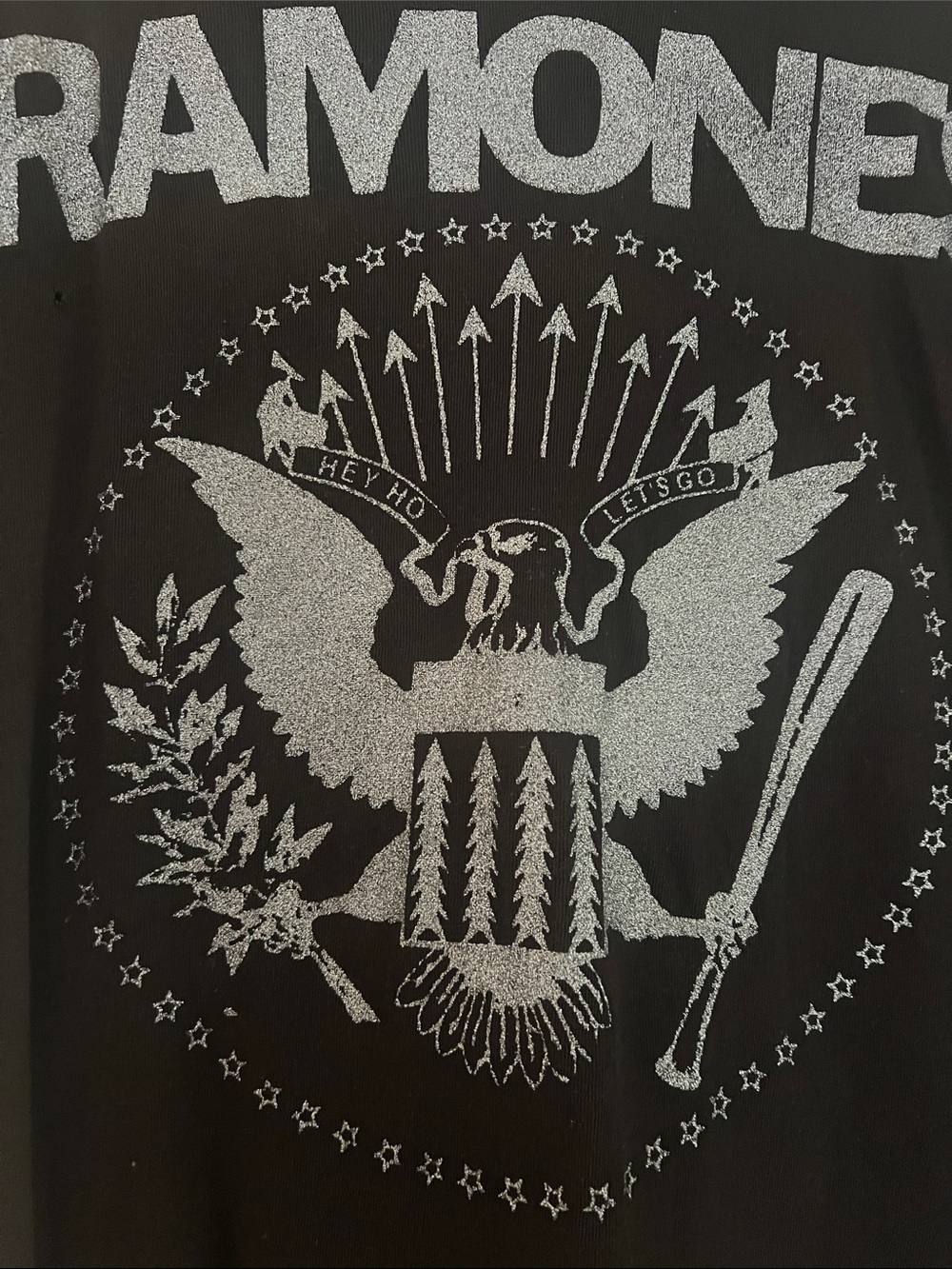 MadeWorn Black Ramones Graphic Tee with Silver Logo - Picture 4 of 4